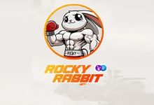 Rocky Rabbit
