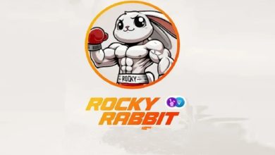 Rocky Rabbit